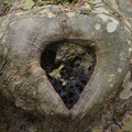 SilviaMolins