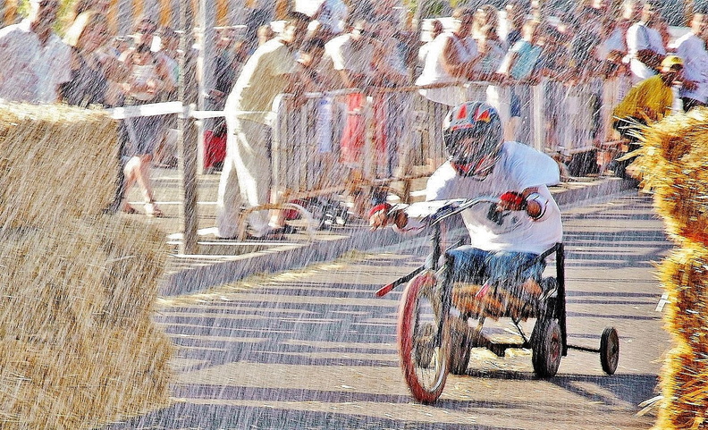 JoanCaimel